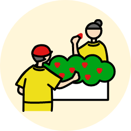 立ったままラクラク高設栽培