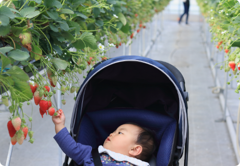 広い通路で車いすやベビーカーも安心。